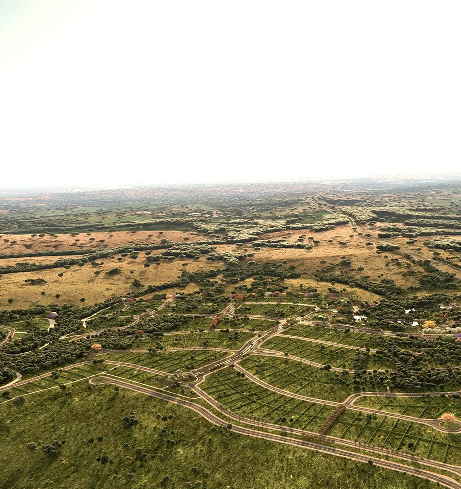 quintadasararasimagemcima